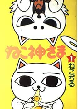 51SHXFRs2CL._AC_UF350,