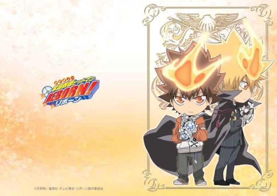 Amazon.co.jp: 家庭教師ヒットマン REBORN! メッセージカードセット