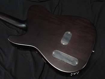 Amazon | SCHECTER OL-FL-P SSTB Oriental Line シェクター 薄胴