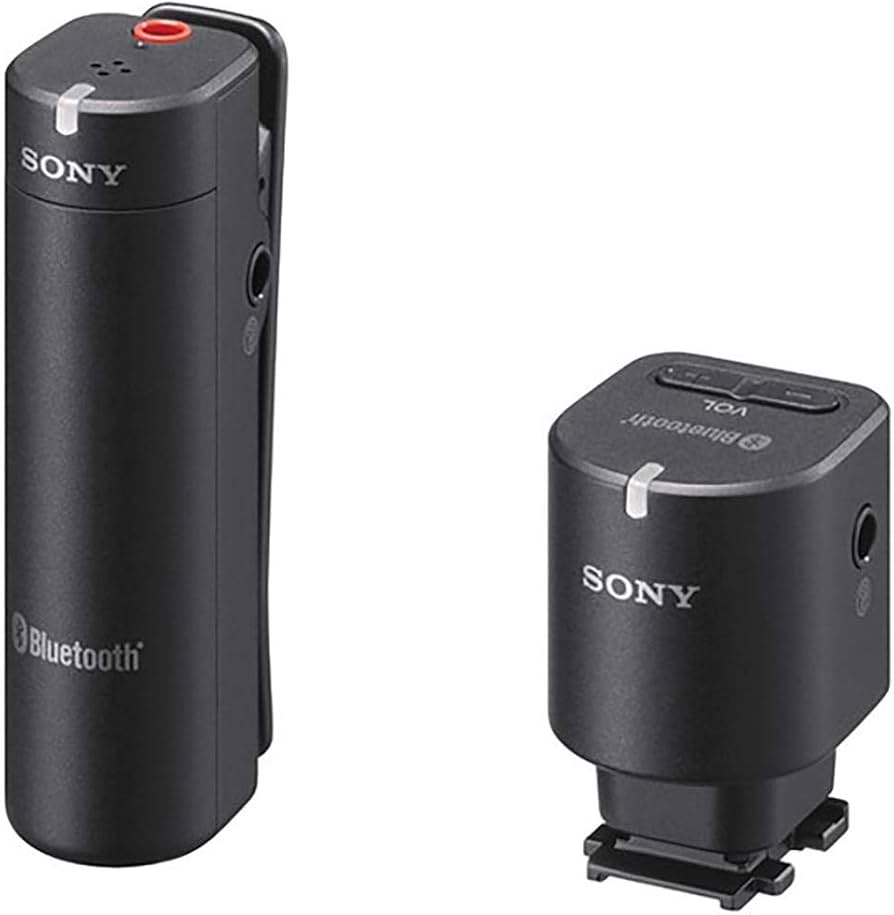 Amazon.co.jp: SONY(ソニー) ワイヤレスマイクロホン ECM-W1M C : 楽器