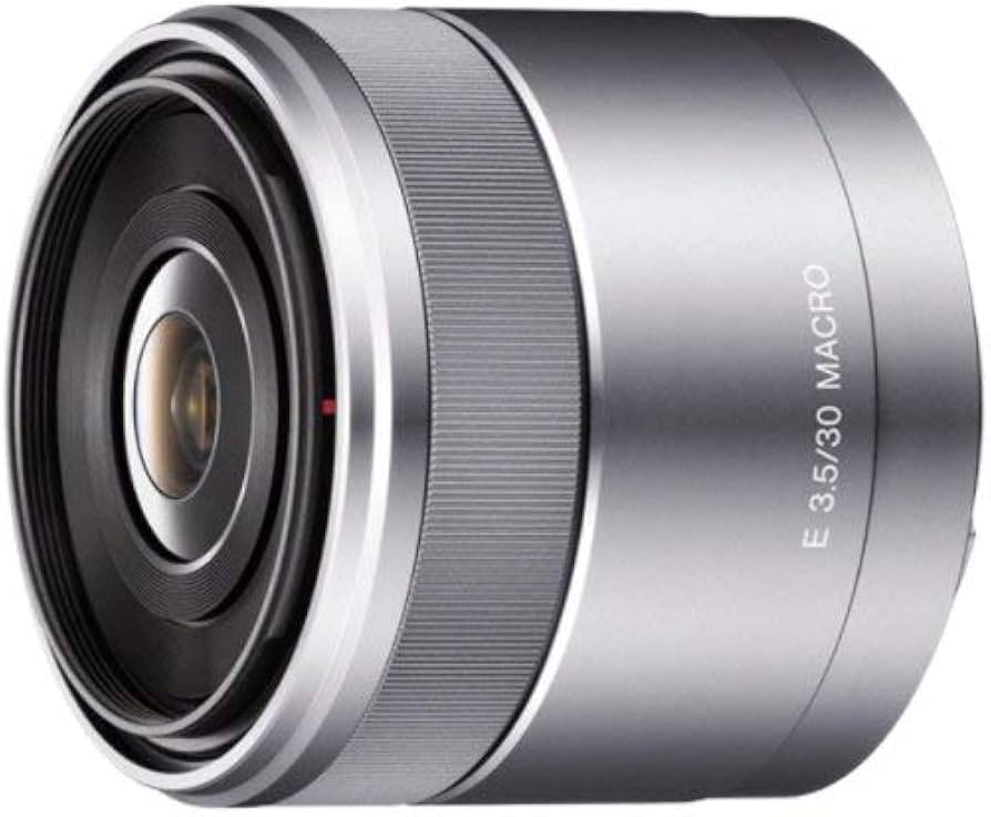 Sony E 30mm F3.5 Macro Lens SEL30M35 for E mount : Amazon.ca