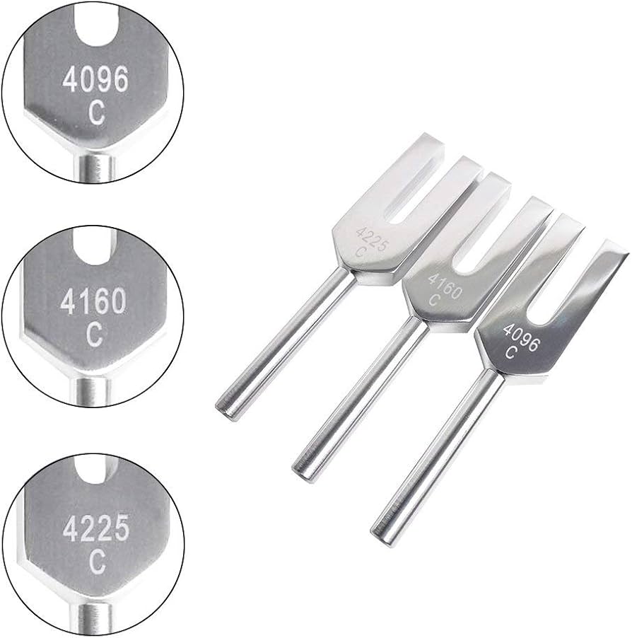 Amazon.co.jp: QIYUN 音叉 チューナー 4096 Hz 4160 hz 4225 hz おんさ