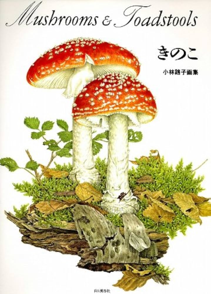 きのこ: 小林路子画集 | 小林 路子 |本 | 通販 | Amazon