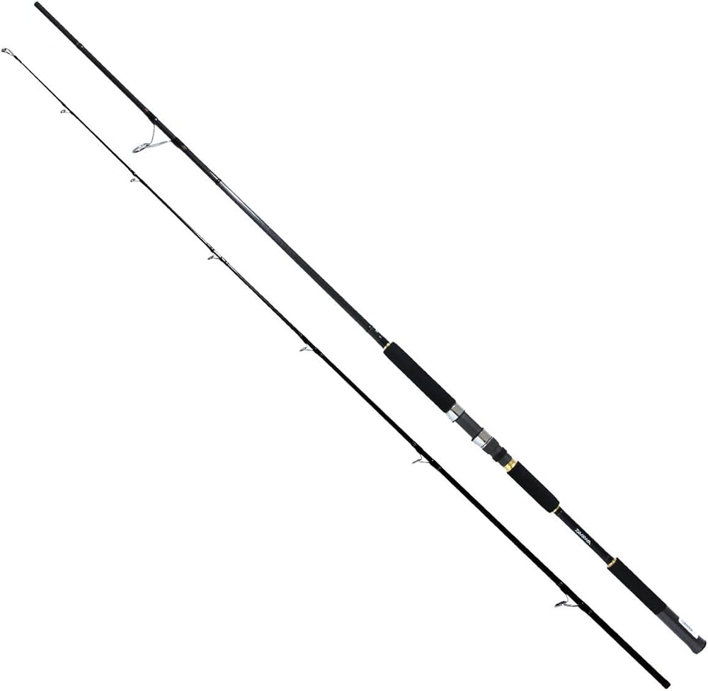 Amazon | ダイワ(DAIWA) ショアジギングロッド ジグキャスターMX 96MH