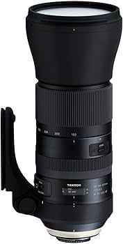 Amazon.com: Tamron SP 150-600 毫米F/5-6.3 Di VC USD G2 適用於Nikon