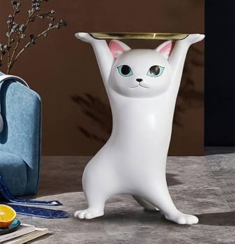 51V+iNJFvYL._AC_UF350,