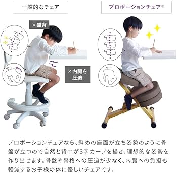 Amazon.co.jp: 宮武製作所 プロポーションチェア ライトナチュラル脚