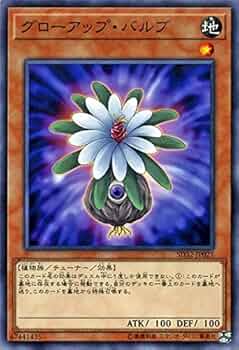 51WUI7BFhqL._AC_UF350,