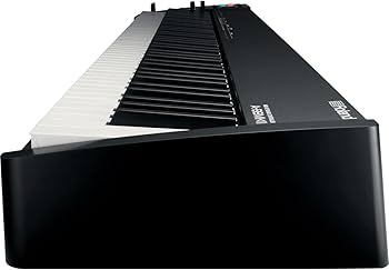 Amazon.com: Roland A-88MKII 88-Key MIDI Keyboard Controller