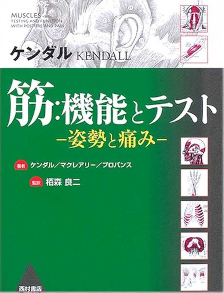 筋:機能とテスト: 姿勢と痛み | ケンダル |本 | 通販 | Amazon