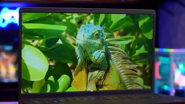 Amazon.com: Dell Inspiron 14 5400 2 in 1-14 Inch FHD Touchscreen