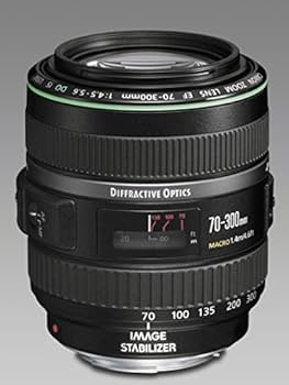 Amazon.com : Used Canon 70-300mm F4-5.6 is USM EF DO : Camera