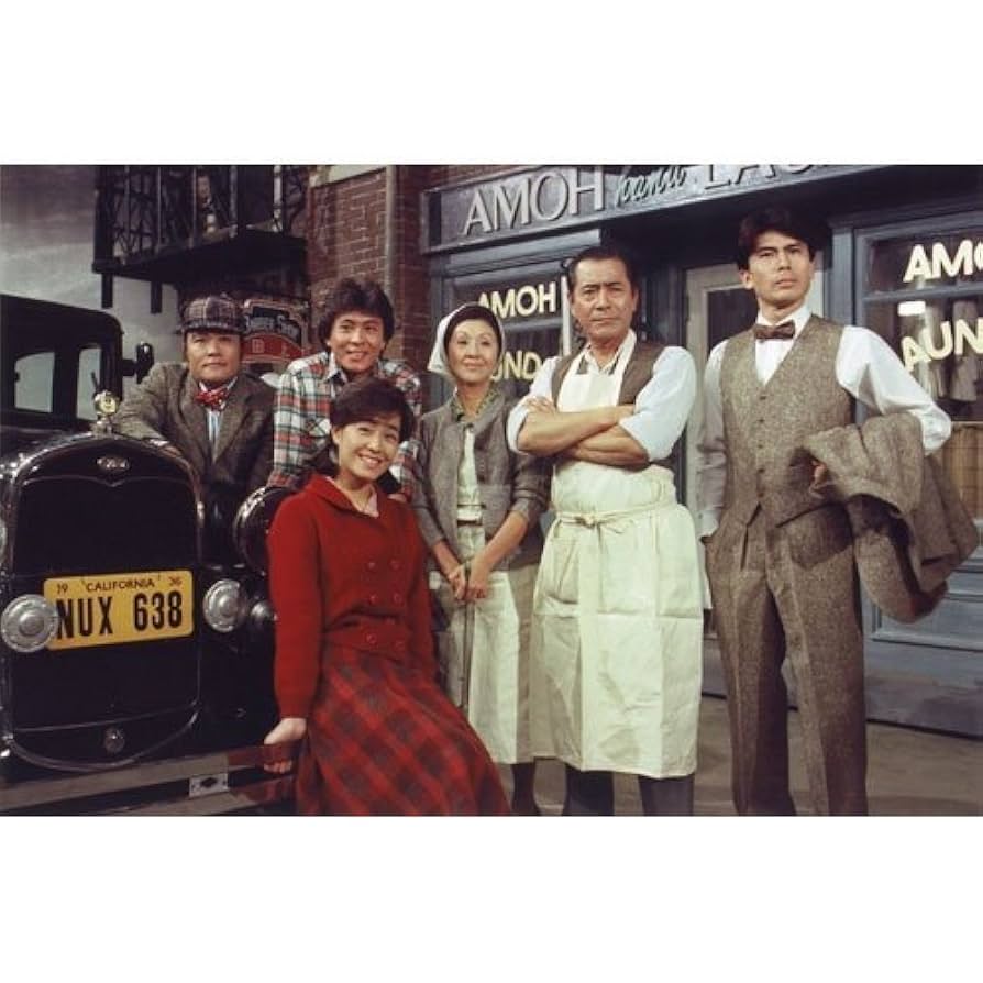 山河燃ゆ 総集編 DVD NHK大河ドラマ 山崎豊子 松本幸四郎 沢田研二