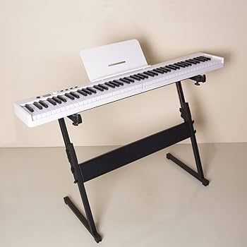 51YXDr-Qm+L._AC_UF350,