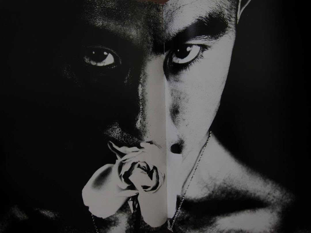 Amazon.co.jp: 薔薇刑 細江英公 三島由紀夫 初版 帯付き : おもちゃ