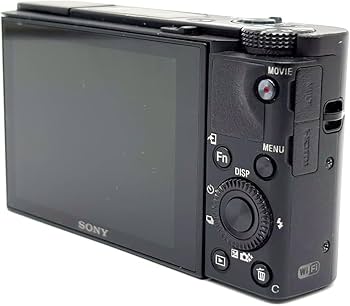 Amazon.co.jp: ソニー デジタルスチルカメラ「DSC-RX100M5」SONY Cyber