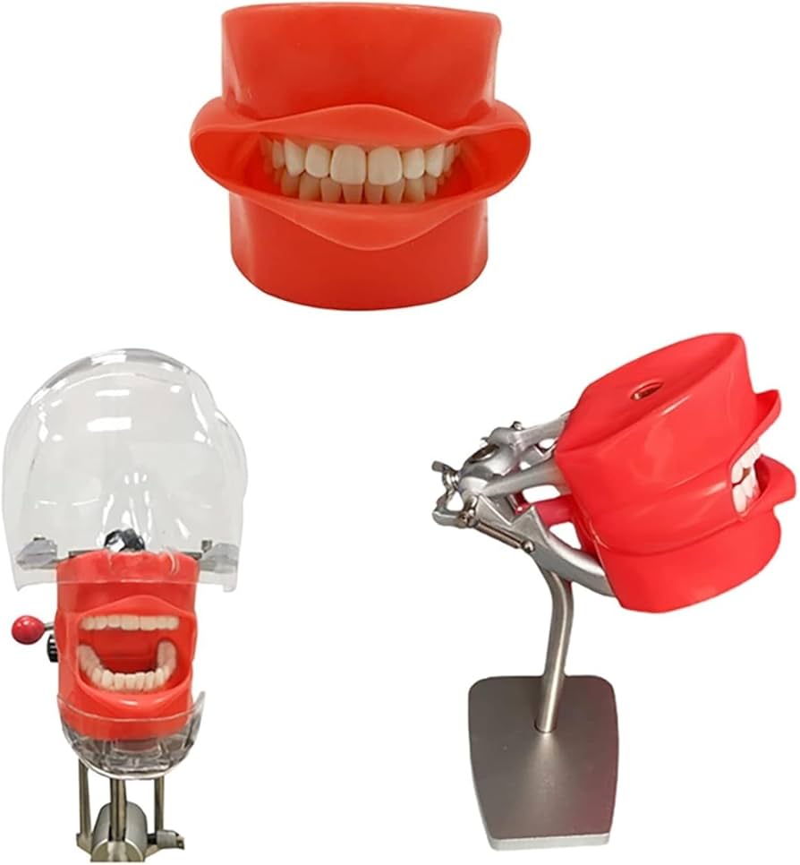 シートマスクと歯科模型セット シートマスクと歯科模型セット 歯周外科領域