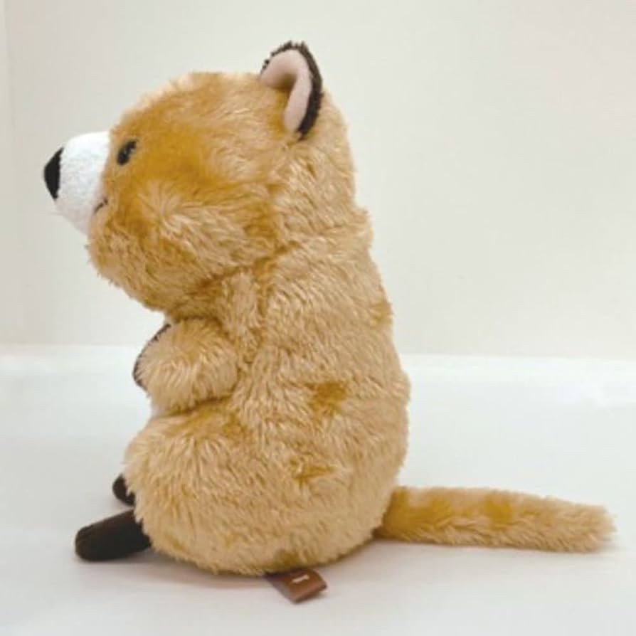 Amazon.co.jp: モンスイユ(Monseuil) クオッカ ベージュ ぬいぐるみ