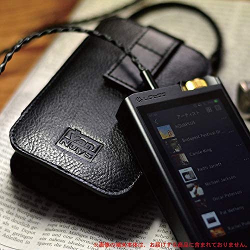 Amazon | 完全無欠 の Lotoo PAW Gold TOUCH 専用 キャリング ケース