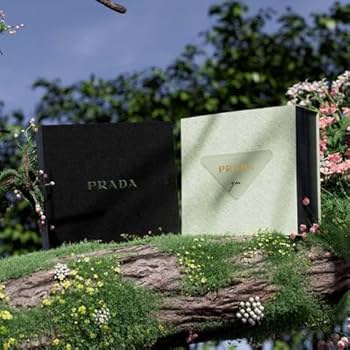 Amazon.com : Prada Paradoxe EDP 50ML + EDP 10ML : Beauty