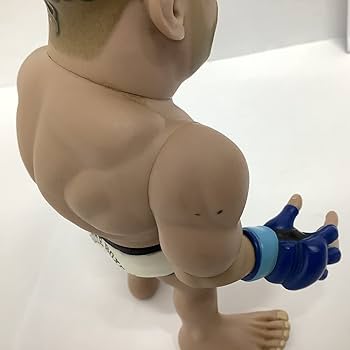 Amazon | ヴァンダレイ シウバ ソフビ フィギュア PRIDE 格闘家