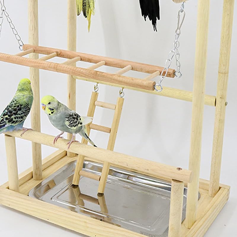 Amazon | Jinmoioy 天然木製 止まり木ジム 鳥の遊び場 鳥かごスタンド
