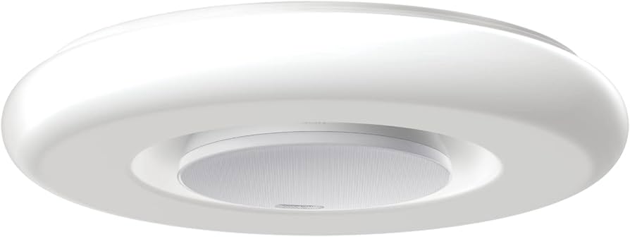 Amazon.co.jp: Sony マルチファンクションライト MFL-2100S ハイエンド