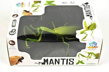 Amazon.co.jp: カマキリ ラジコン Mantis Radio Controlled : おもちゃ