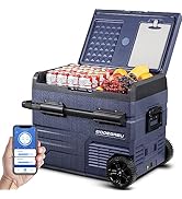 Amazon.co.jp: BODEGA 車載冷蔵庫 50L -20℃~20℃ 急速冷凍 ポータブル