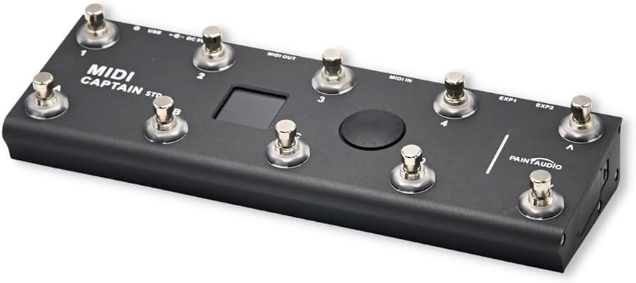 Amazon.com: PAINTAUDIO MIDI Captain Foot Controller Multi-Effects