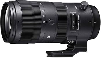 Amazon.co.jp: シグマ(Sigma) レンズ 70-200mm F2.8 DG OS HSM Canon