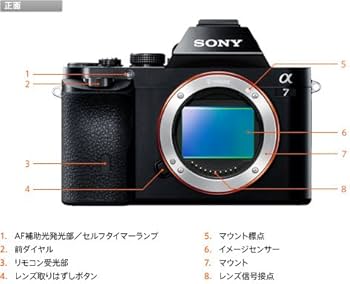 Amazon | ソニー SONY ミラーレス一眼 α7 ボディ ILCE-7 | ミラーレス