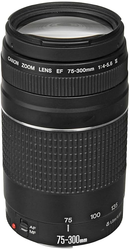 Amazon.com : Canon EF 75-300mm f/4-5.6 III Telephoto Zoom Lens for