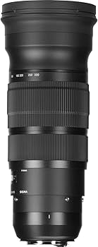Amazon.com : Sigma 120-300mm F2.8 Sports DG APO OS HSM Lens for