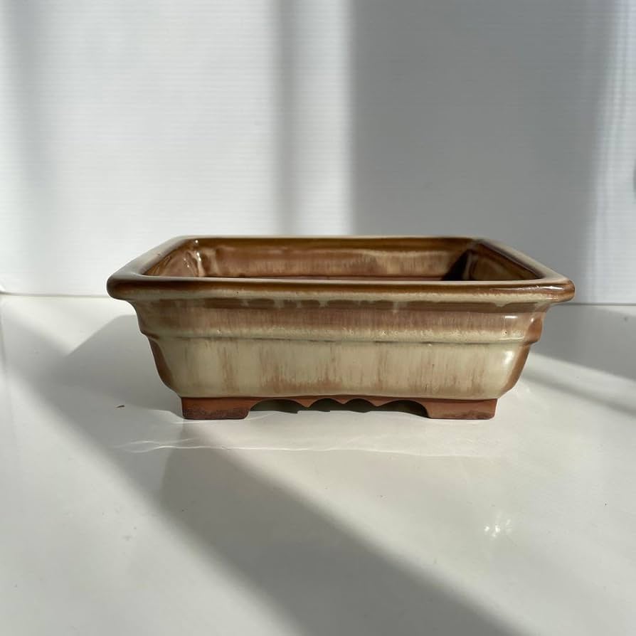 Amazon.co.jp: 盆栽鉢 落款 陶翠 : DIY・工具・ガーデン