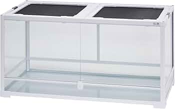 51JuyHd93rL._AC_UF350,