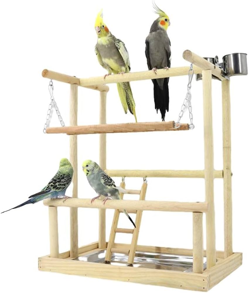 Amazon | Jinmoioy 天然木製 止まり木ジム 鳥の遊び場 鳥かごスタンド