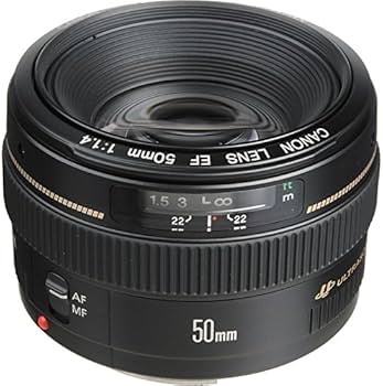 Amazon.com : Canon EF 50mm f/1.4 USM Standard & Medium Telephoto