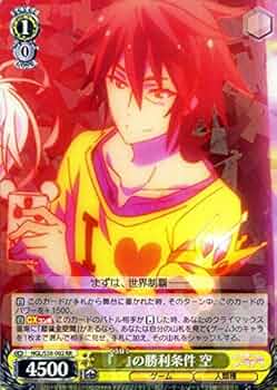 51hGtDT7U2L._AC_UF350,