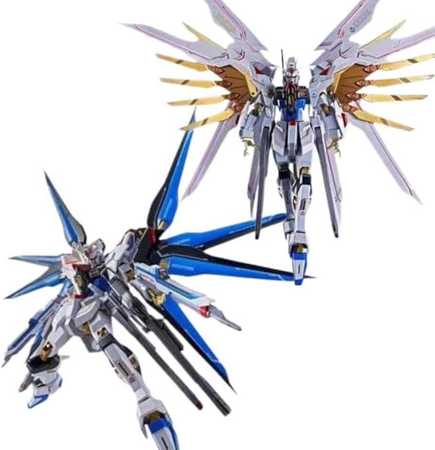 Amazon.co.jp: METAL ROBOT魂 ＜SIDE MS＞ストライクフリーダム ガ ン