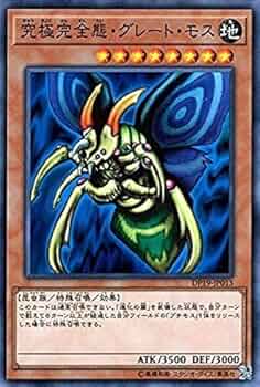 51i5RZZswRL._AC_UF350,