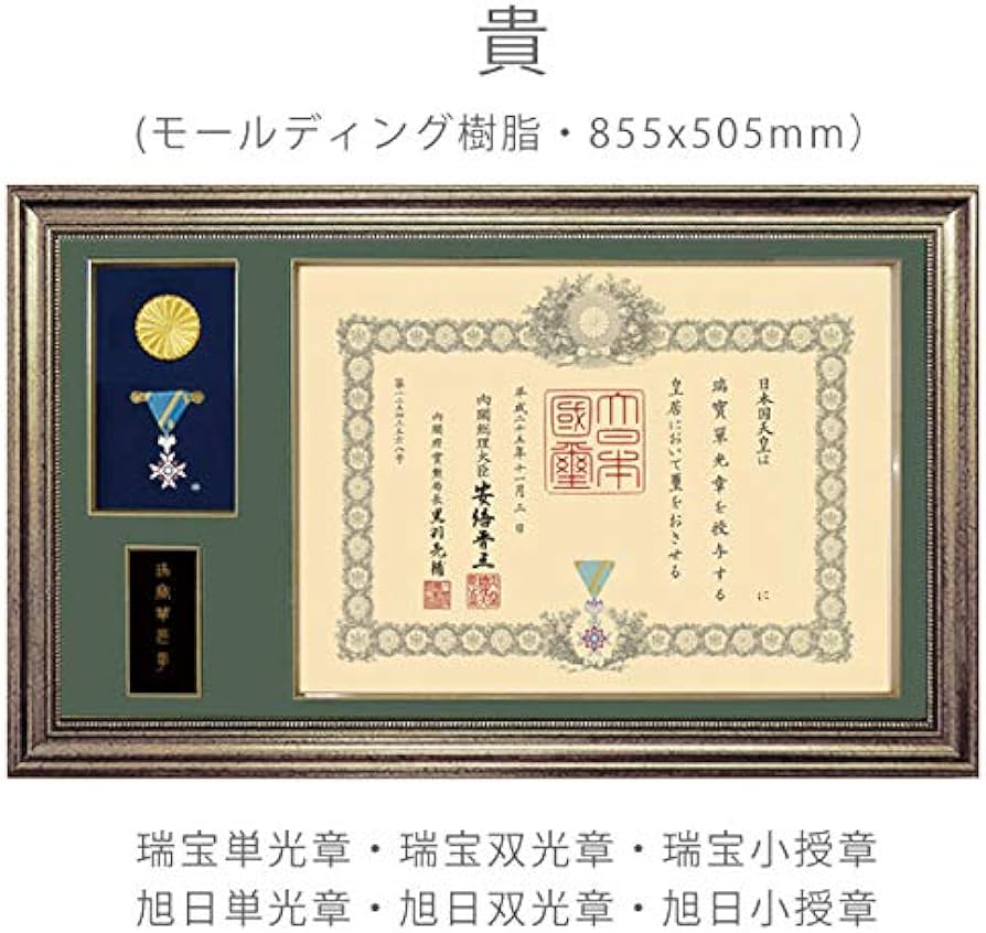 51igDHCa-eL._AC_UF894,