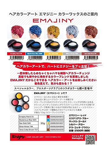 Amazon | EMAJINY エマジニー カラーワックス 30g Brown ブラウン T27
