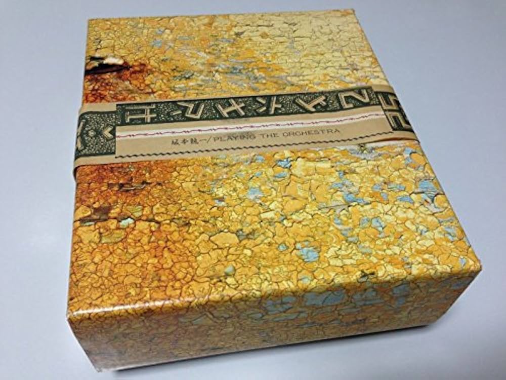 Amazon.co.jp: プレイング・ジ・オーケストラ: ミュージック