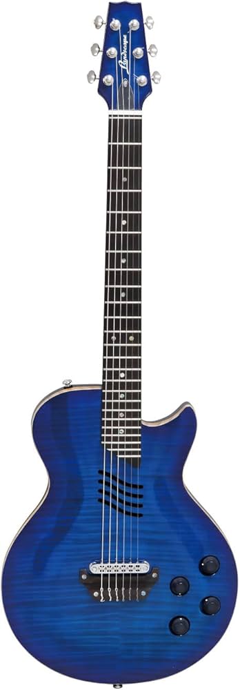 Amazon | Landscape (ランドスケープ) エレアコ エレガット ギター SE