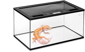 Amazon | 爬虫類 ケージ グラステラリウム 飼育ケース 大 爬虫類