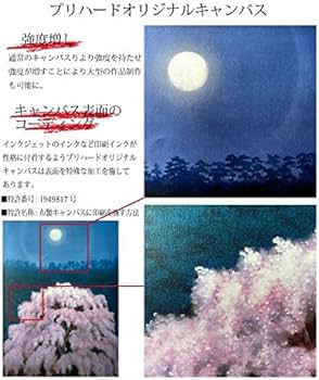 51msq6Km1TL._AC_UF350,