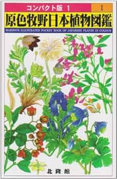 51mwtw5joxL._AC_UF350,