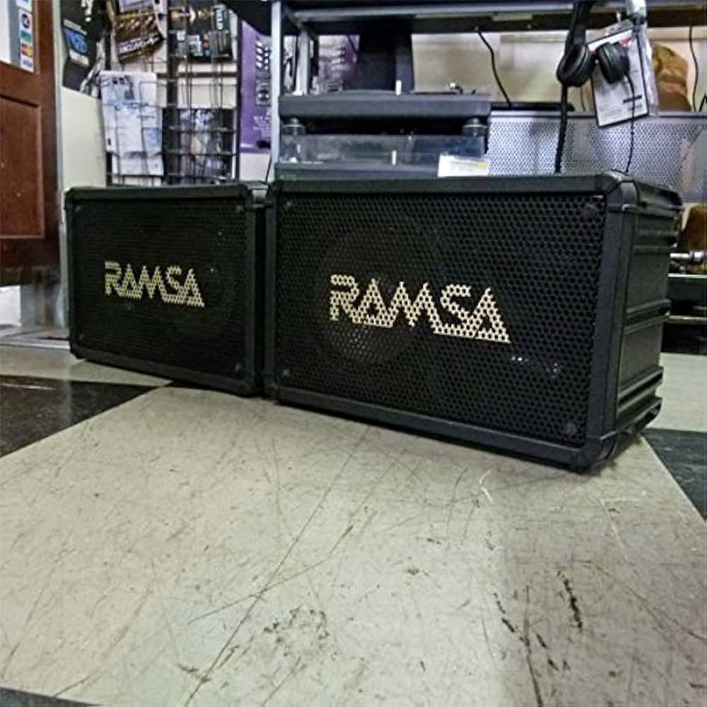 Amazon | RAMSA WS-A80 ペア | モニタースピーカー | 楽器・音響機器