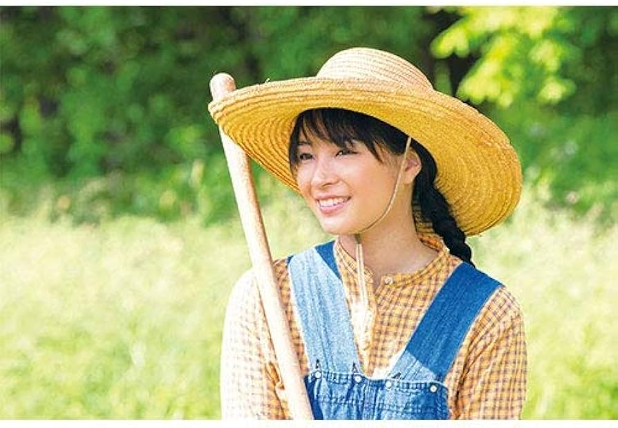 Amazon.co.jp: 連続テレビ小説 なつぞら 完全版 DVD-BOX 全3巻セット : DVD